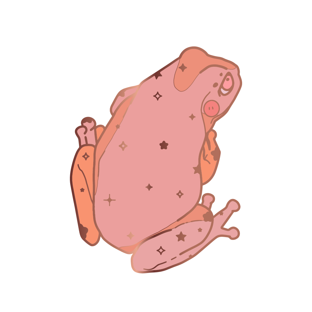 Starry frog pin by BubblesArtCraft