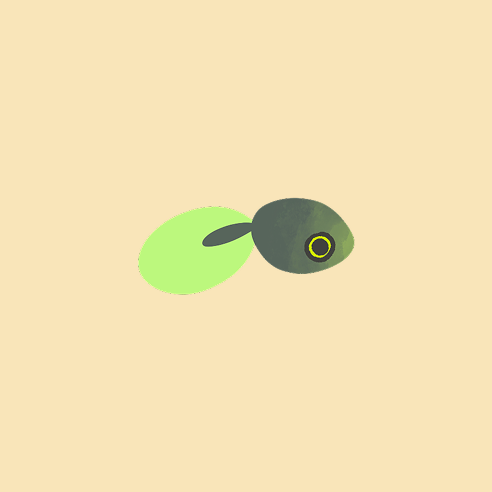Frog Con
