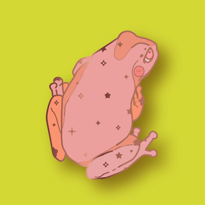Starry frog pin by BubblesArtCraft