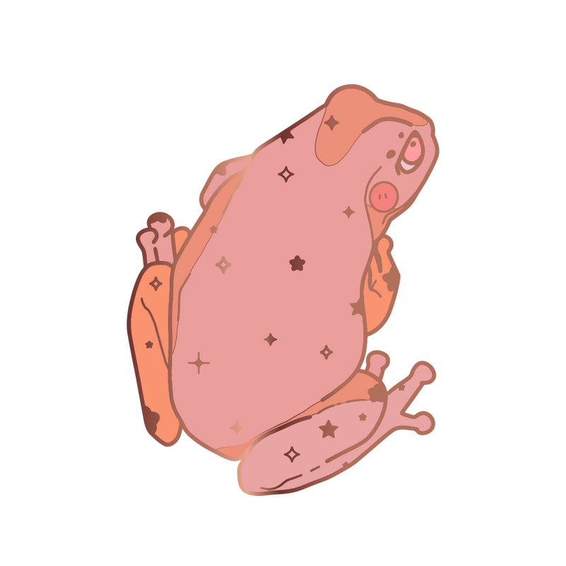 Starry frog pin by BubblesArtCraft